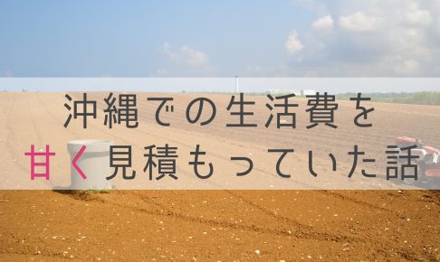 沖縄 生活費 安い 高い